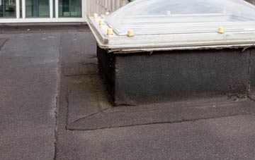 disadvantages of East Trewent flat roofs