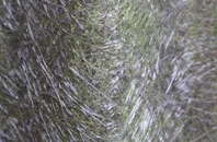 East Trewent fibreglass roof work